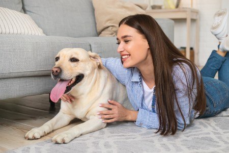 Pet Stain & Odor Removal Services - PowerPro Carpet and Rug Cleaning Service