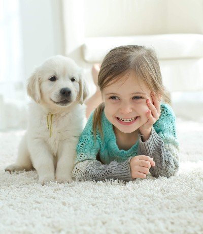 Pet Urine Cleaner in the township of Manalapan New Jersey