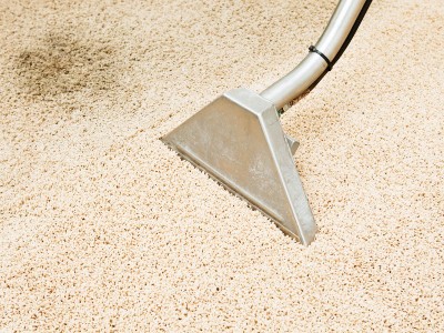 Vacuum Your Carpet - PowerPro Carpet and Rug Cleaning Service