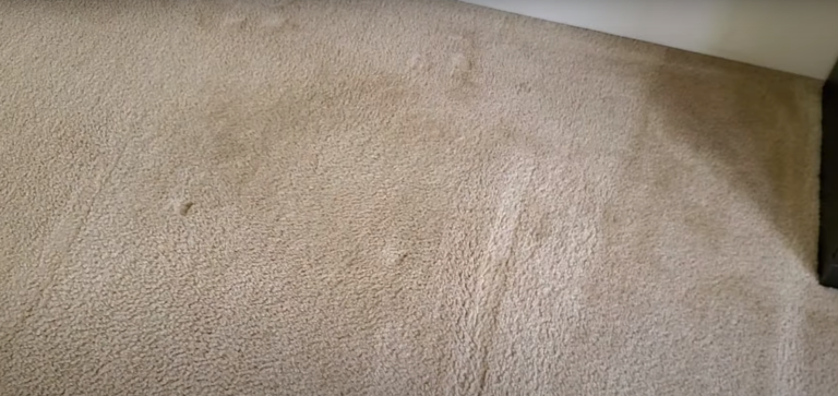 Read more about the article How To Get Yourself Out Of Dirty Carpet Hell